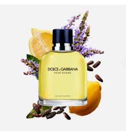 Dolce & Gabbana POUR HOMME  - 200ml