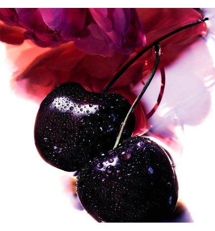 LA PETITE ROBE NOIRE Eau de parfum - 50ml