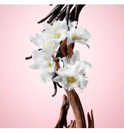Viktor & Rolf FLOWERBOMB Eau de Parfum - 100ml