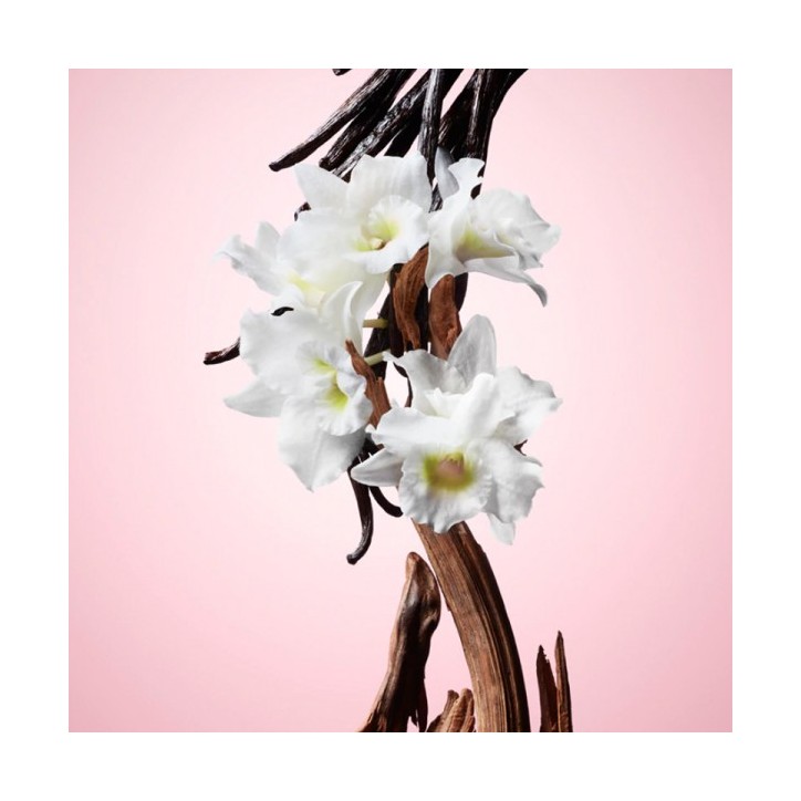FLOWERBOMB Eau de Parfum - 100ml