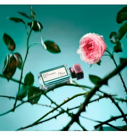 L'HOMME À LA ROSE Eau de Parfum - 70ml