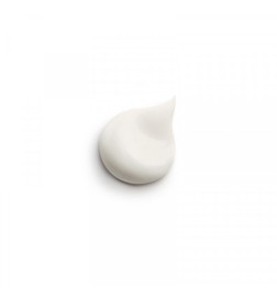 Sisley ÉMULSION ÉCOLOGIQUE formule avancée jour et nuit 125 ml