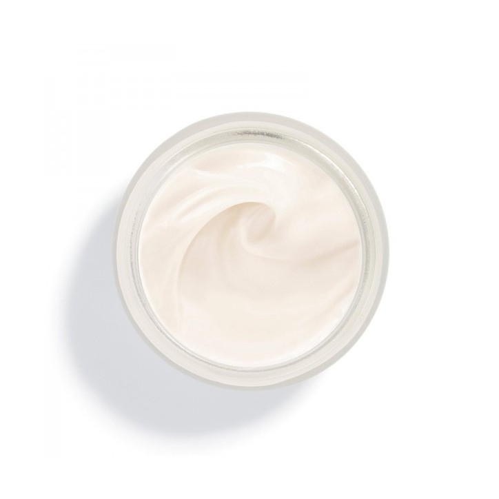 PHYTO NUIT crema de noche con colágeno y malvavisco todo tipo de pieles 50 ml PHYTO NUIT crema de noche con colágeno y malvavisco todo tipo de pieles 50 ml