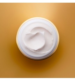 RE-NUTRIV ULTIMATE LIFT regenerating youth cream 50 ml