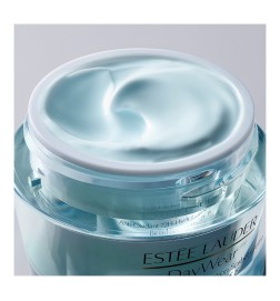 Estée Lauder DAYWEAR cream SPF15 PNM 50 ml