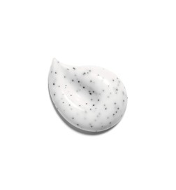 Chanel LE MASQUE Camellia Exfoliating Mask 150ml