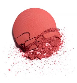 Chanel JOUES CONTRASTE powder brush 55-in love