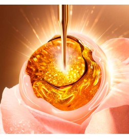Lancome ABSOLUE RICH CREAM with Grand Rose Extracts - 60ml