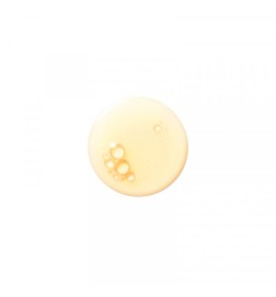 THE RENEWAL OIL 30ml