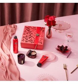 Rituals THE RITUAL OF AYURVEDA MEDIUM GIFT SET
