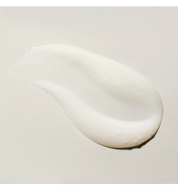 THE RITUAL OF JING shampoo 250 ml