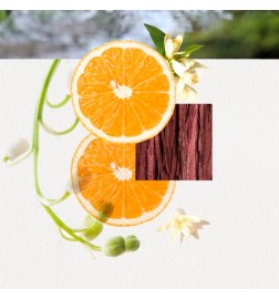 OMIZU FOR HER eau de parfum spray 100 ml