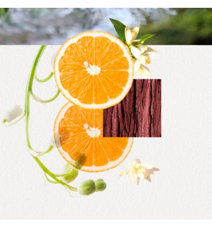 OMIZU FOR HER eau de parfum spray 100 ml