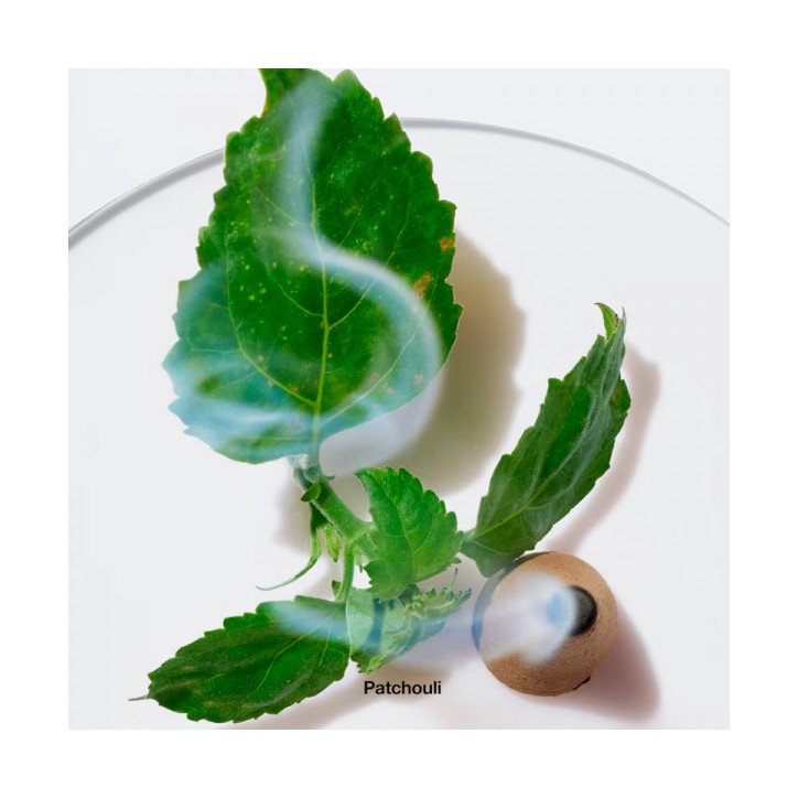 AROMATICS ELIXIR spray - 45ml