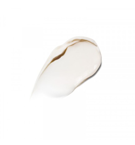 THE REJUVENATING NIGHT CREAM - 30ml