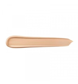 TEINT IDOLE ULTRA WEAR all over concealer