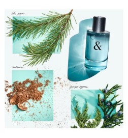 Tiffany & Co. TIFFANY & LOVE FOR HIM edt spray 90 ml