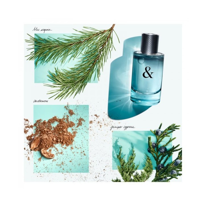 TIFFANY & LOVE FOR HIM edt spray 90 ml