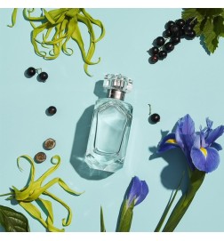 TIFFANY SHEER edt spray 30 ml