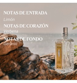 L'Occitane VERVEINE edt 100 ml