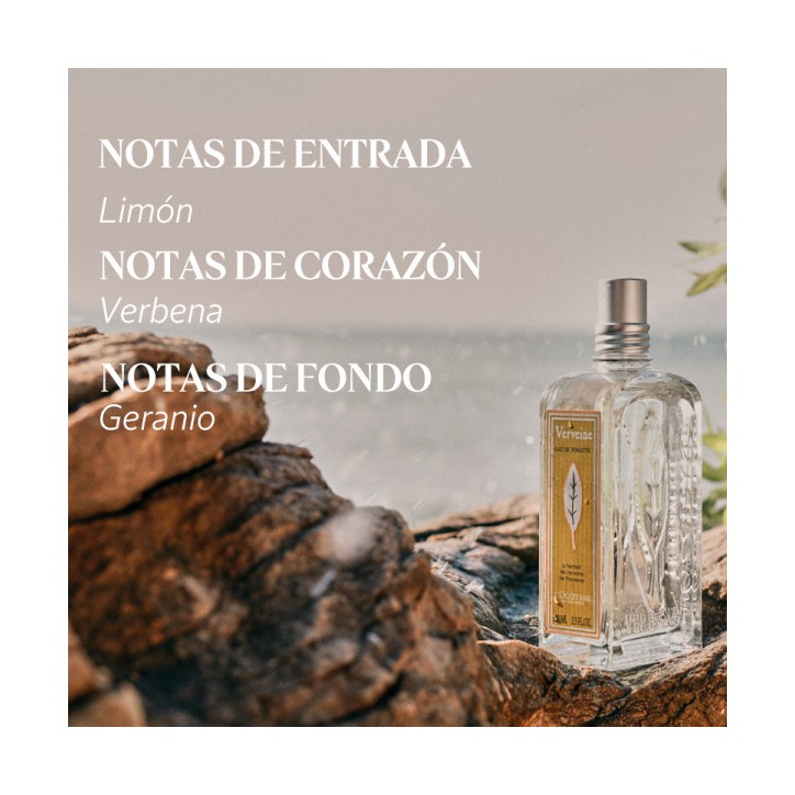 VERVEINE edt 100 ml