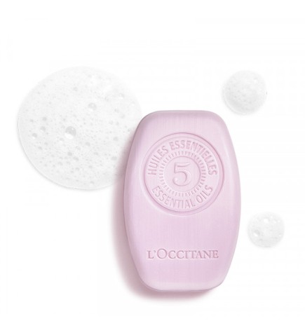 BALANCE & SOFTNESS solid shampoo 60gr