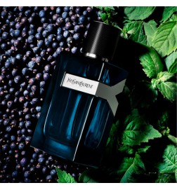 Yves Saint Laurent Y MEN Eau de Parfum Intense spray 60 ml