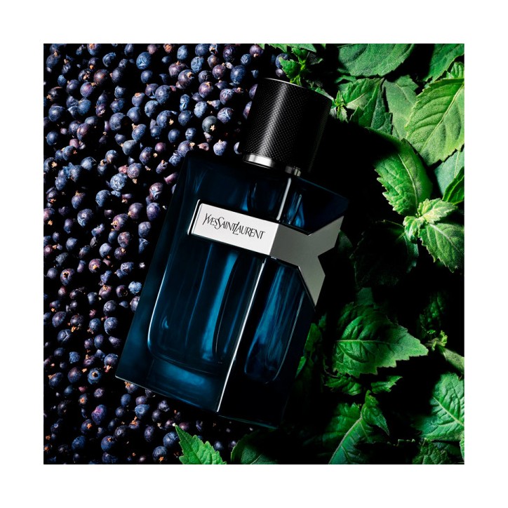 Y MEN Eau de Parfum Intense spray 60 ml