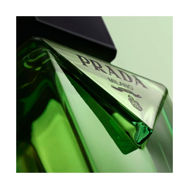 PARADIGME Eau de Parfum - 50ml