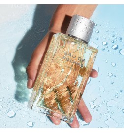 EAU DE ROCHAS HOMME edt spray 100 ml
