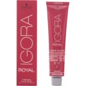 IGORA ROYAL 8-0 60 ml - Schwarzkopf Professional -