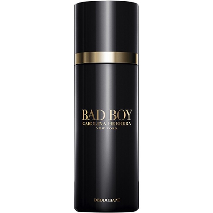 BAD BOY deo spray 100 ml