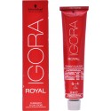 IGORA ROYAL permanent color creme 6-4 60 ml - Schwarzkopf