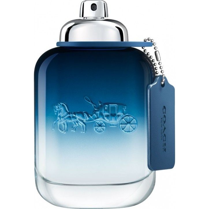 COACH BLUE edt spray 100 ml